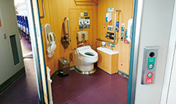 Wheelchair-accessible and ostomy toilet