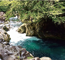 TOBU沿線