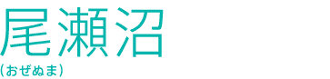 尾瀬沼(おぜぬま)