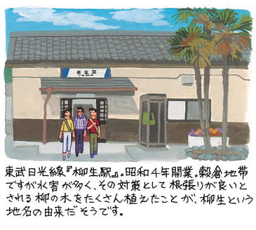 柳生(やぎゅう)
