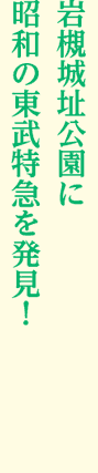 岩槻城址公園に昭和の東武特急を発見!