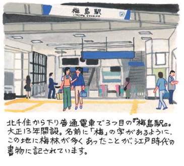 梅島(うめじま)