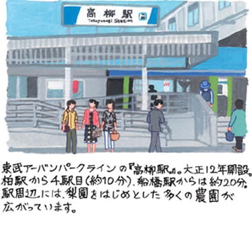 高柳・六実(たかやなぎ・むつみ)