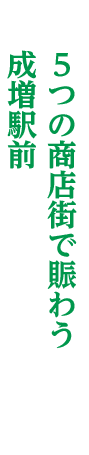 5つの商店街で賑わう成増駅前