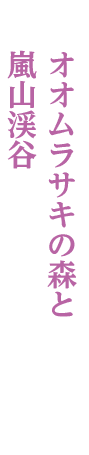 武蔵嵐山(むさしらんざん)