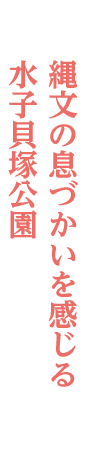 縄文の息づかいを感じる 水子貝塚公園