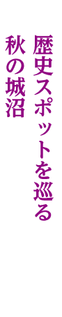 歴史スポットを巡る 秋の城沼