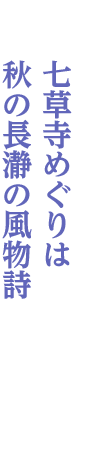 長瀞~樋口