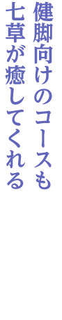 長瀞~樋口