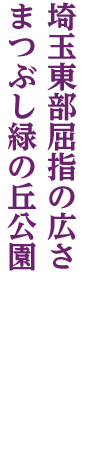 北越谷~松伏町