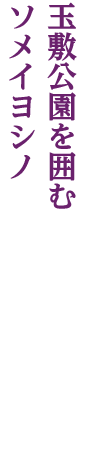 加須