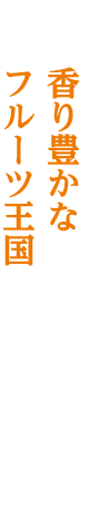 川俣・茂林寺前