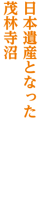 川俣・茂林寺前