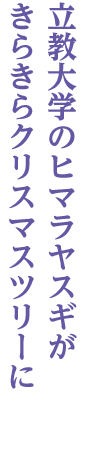 池袋(西口)