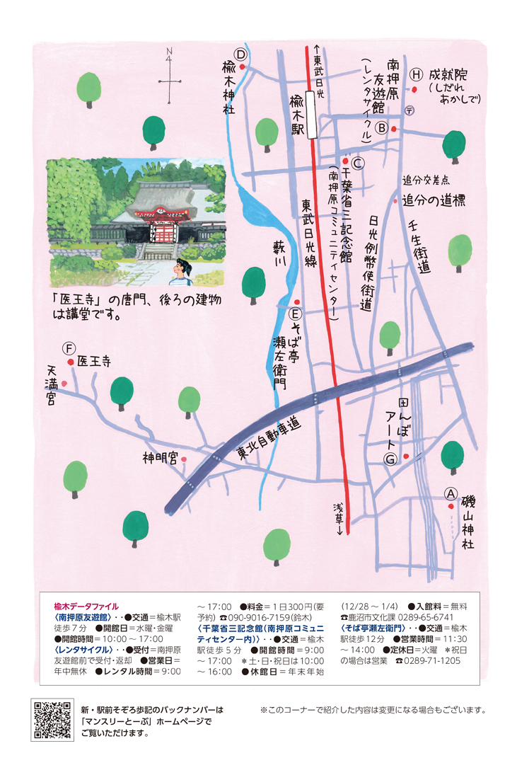 楡木