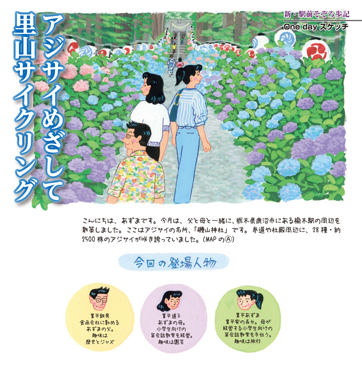 楡木