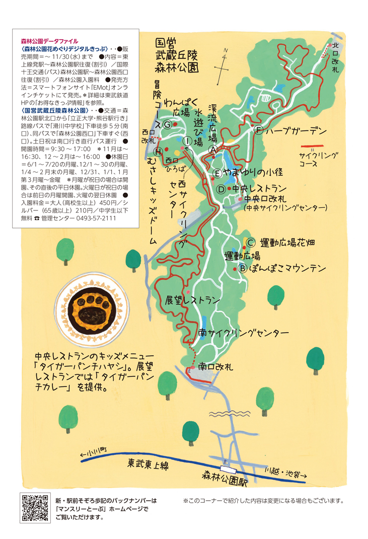 森林公園