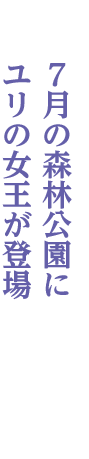 森林公園