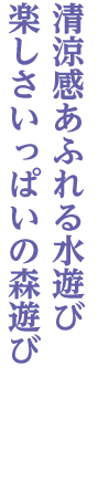 森林公園