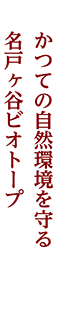 新柏・増尾