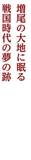 新柏・増尾