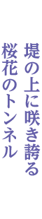 幸手