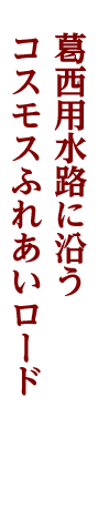 久喜
