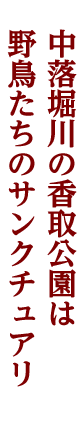 久喜