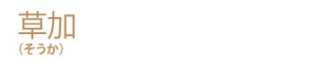 草加