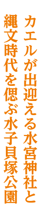 柳瀬川・みずほ台