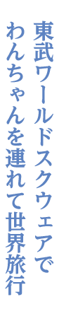 新高徳~東武ワールドスクウェア