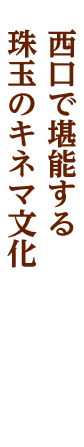 柏