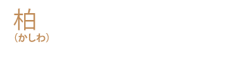 柏