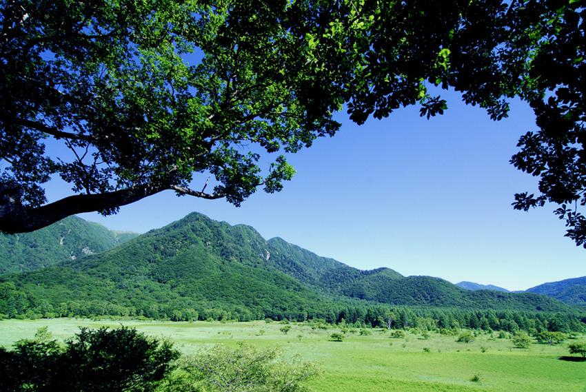 小田代原