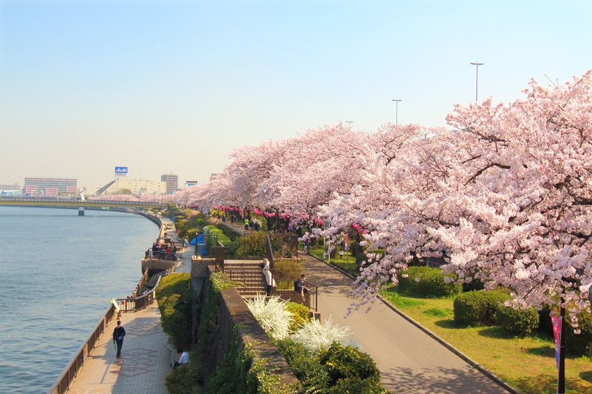 隅田公園