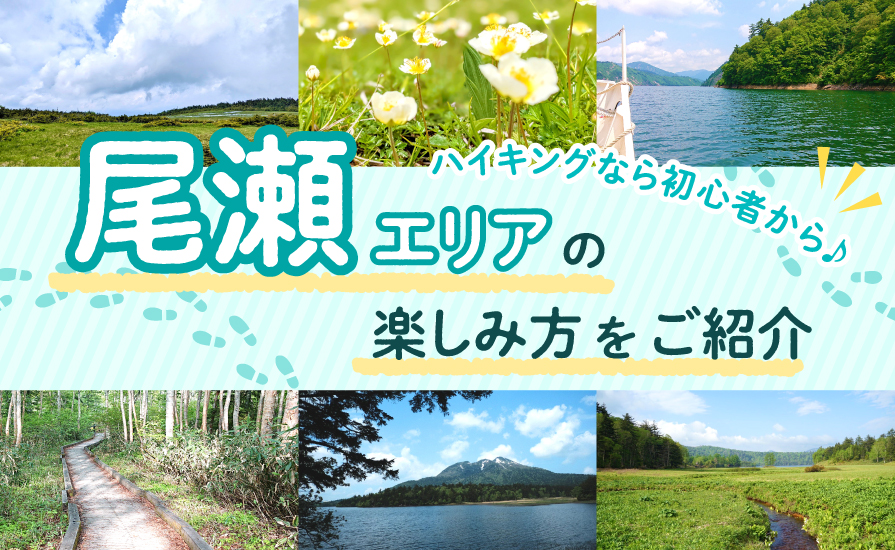 ＼ハイキングなら初心者から♪／尾瀬エリアの楽しみ方をご紹介