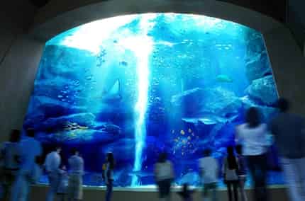 SUMIDA AQUARIUM