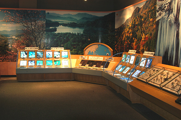 日光自然博物馆