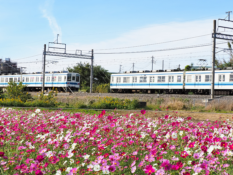 春日部から船橋へ。東武アーバンパークライン途中下車の旅