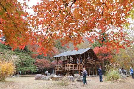 嵐山渓谷展望台