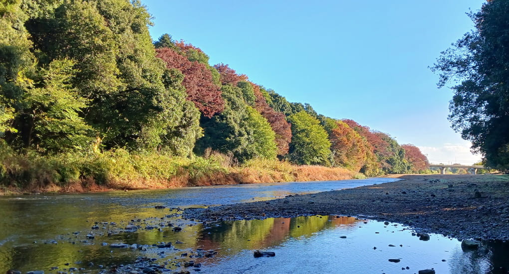 嵐山渓谷遊歩道