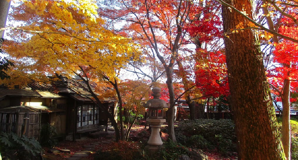 掬翠園の紅葉