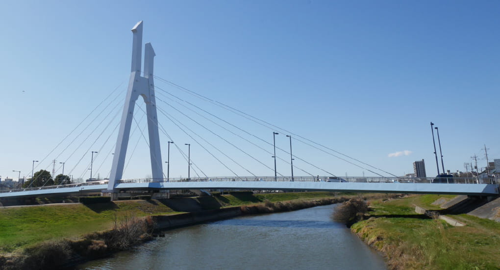 元荒川緑道・しらこばと橋