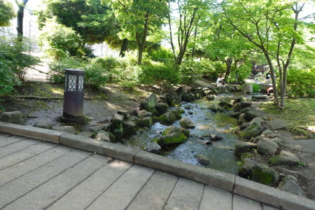 東綾瀬公園