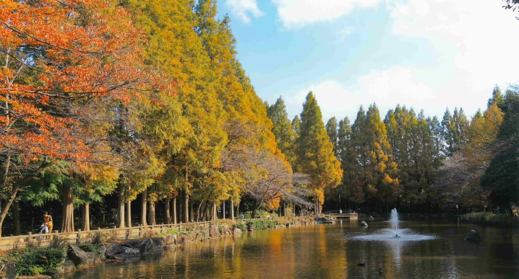 貝柄山の紅葉